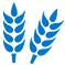 Grain category