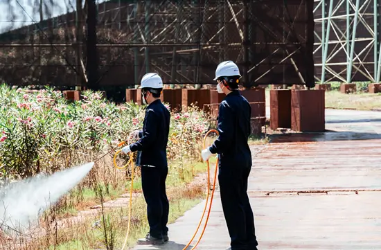 Monitoring and Control of Vector Organisms